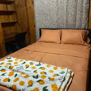 Terrace Homestay Tampa